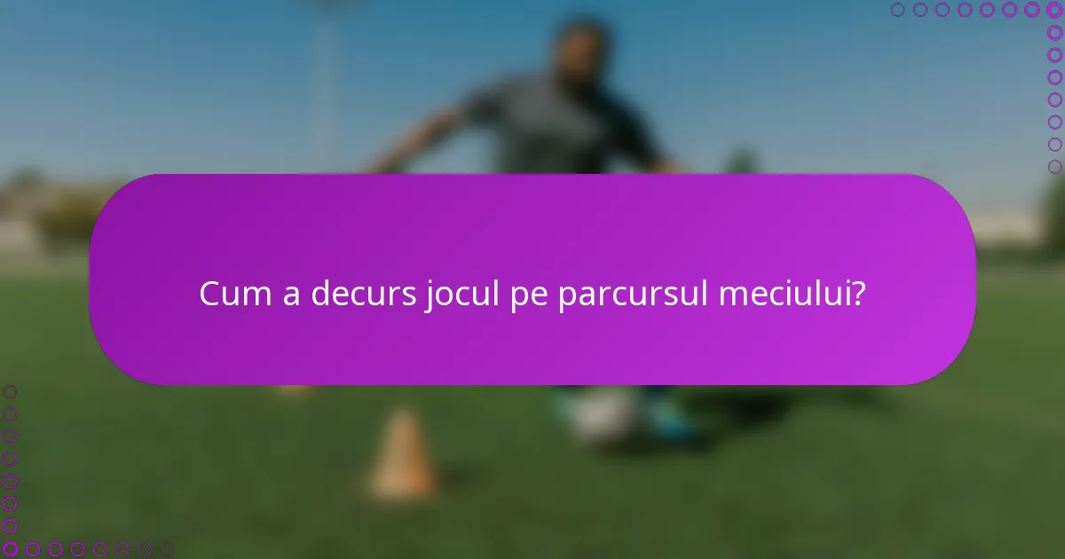 Cum a decurs jocul pe parcursul meciului?